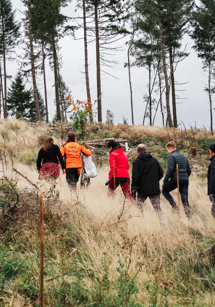 Das Team der envirogroup folgt der STI Forst zu den Stellen, wo die Bäume eingepflanzt werden.