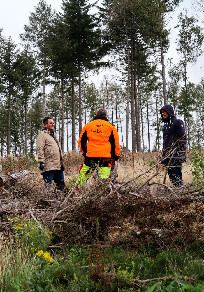 STI Forst und die envirogroup beim einpflanzen von Baum-Setzlingen