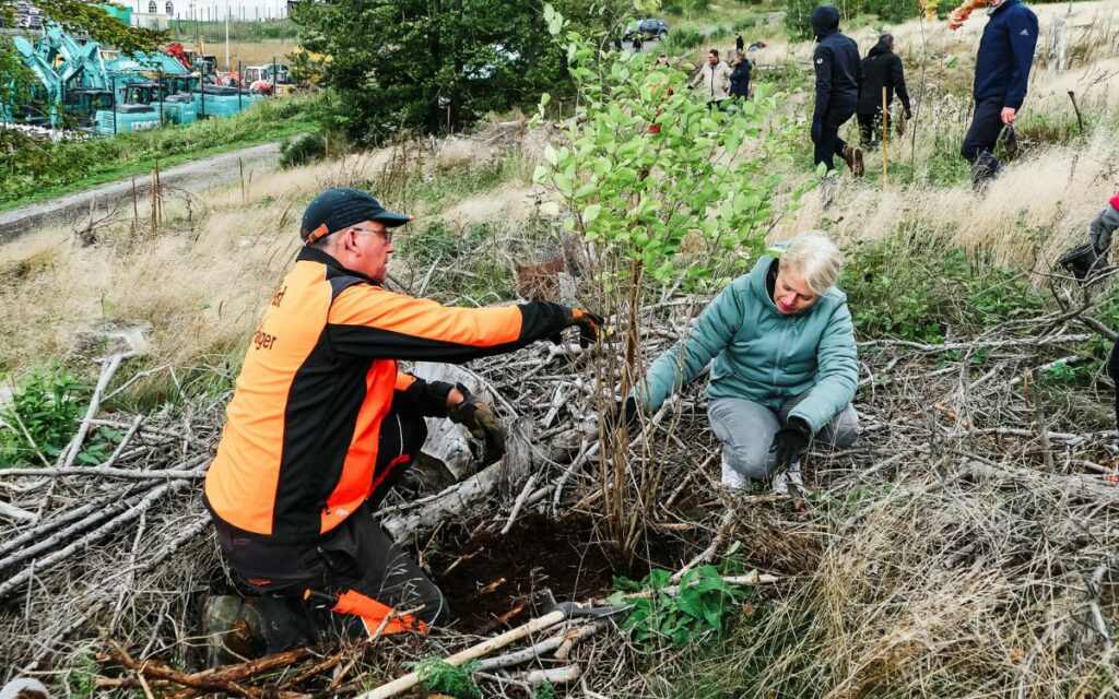 Einpflanzung von neuen Baum Setzlingen auf der Kalteiche in Haiger